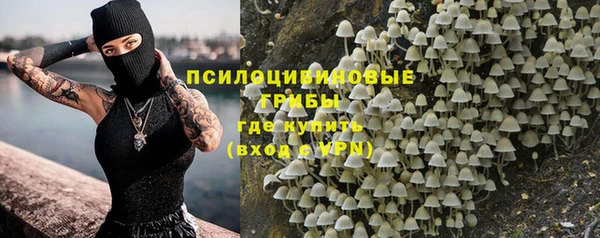 spice Кулебаки