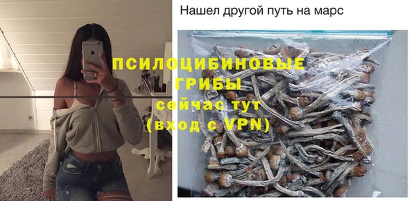 mdpv Ладушкин
