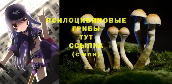 МДМА Кукмор